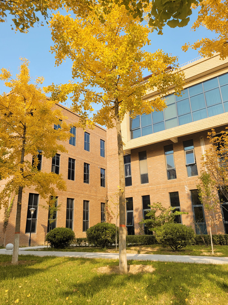 �L(ch��ng)�ſƼ��a(ch��n)�I(y��)�@