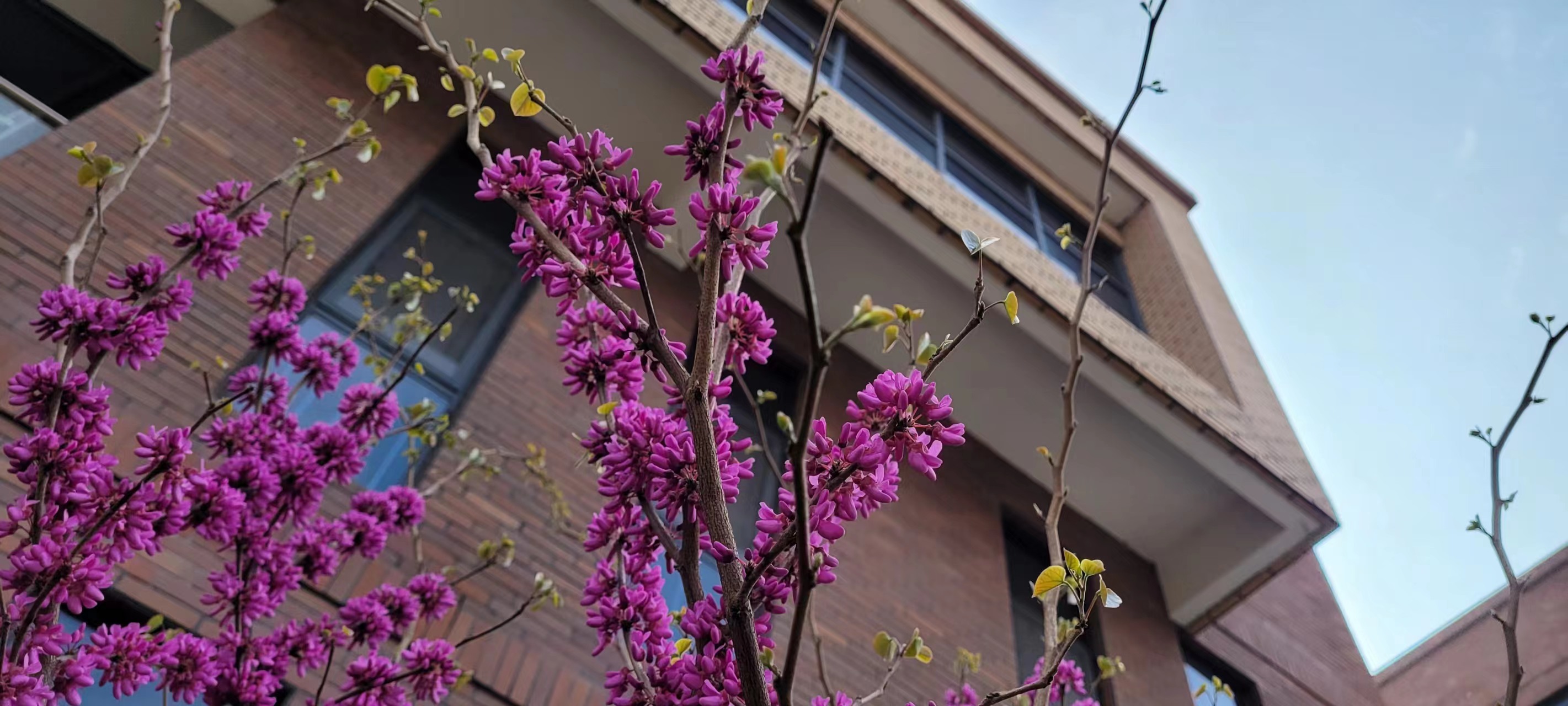 �L(ch��ng)�ſƼ��a(ch��n)�I(y��)�@