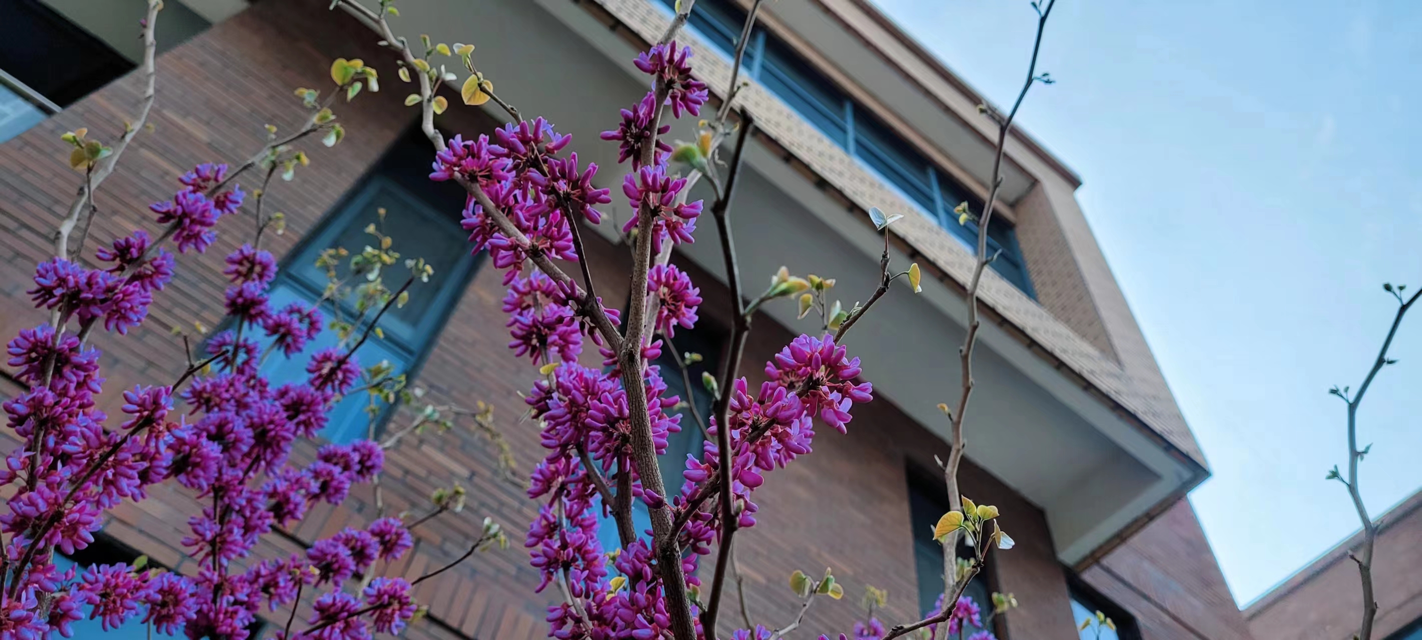 �a(ch��n)�I(y��)�@�^������������\�I(y��ng)