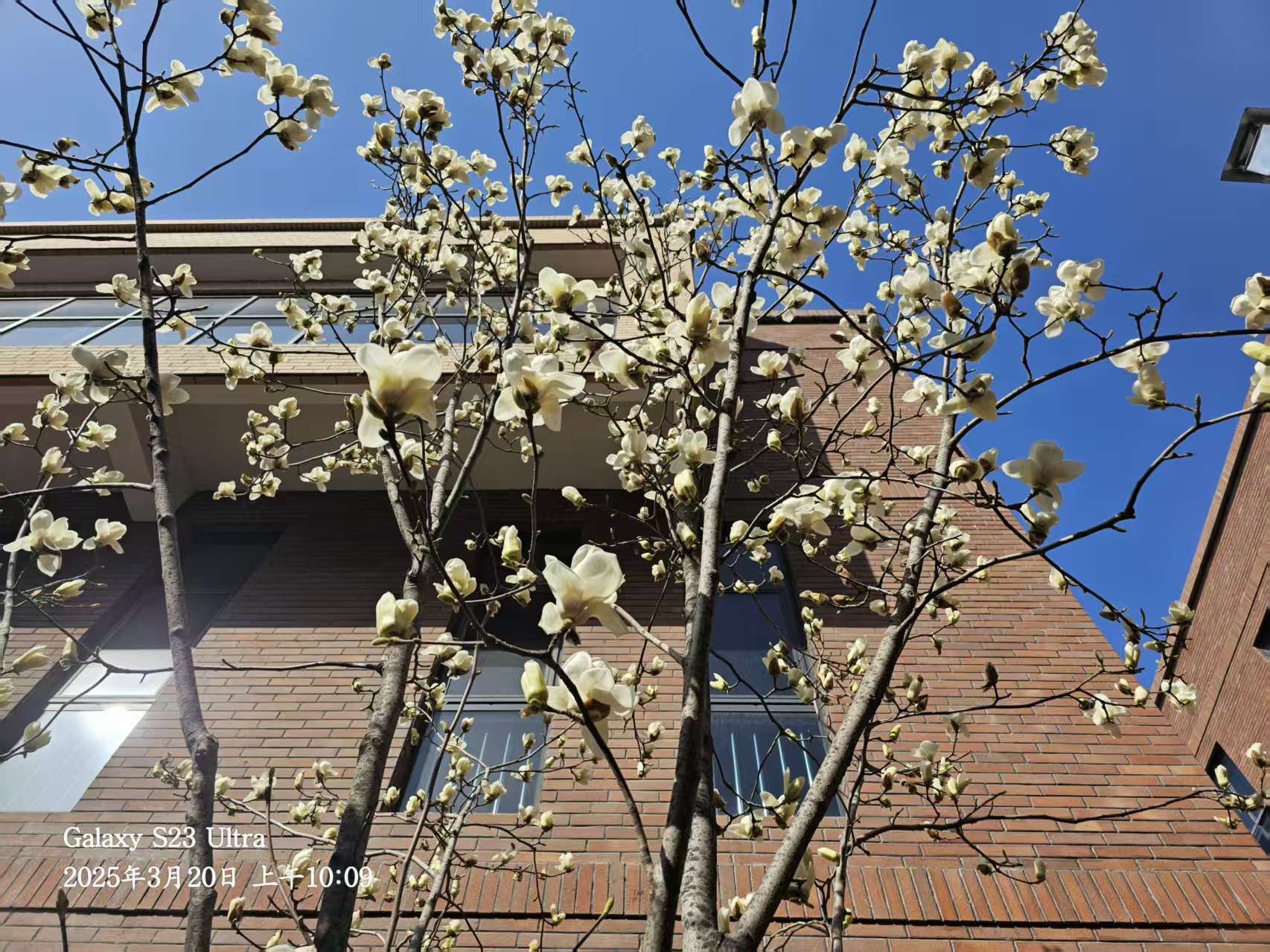 長(cháng)信科技產(chǎn)業(yè)園 長(cháng)信科技產(chǎn)業(yè)園