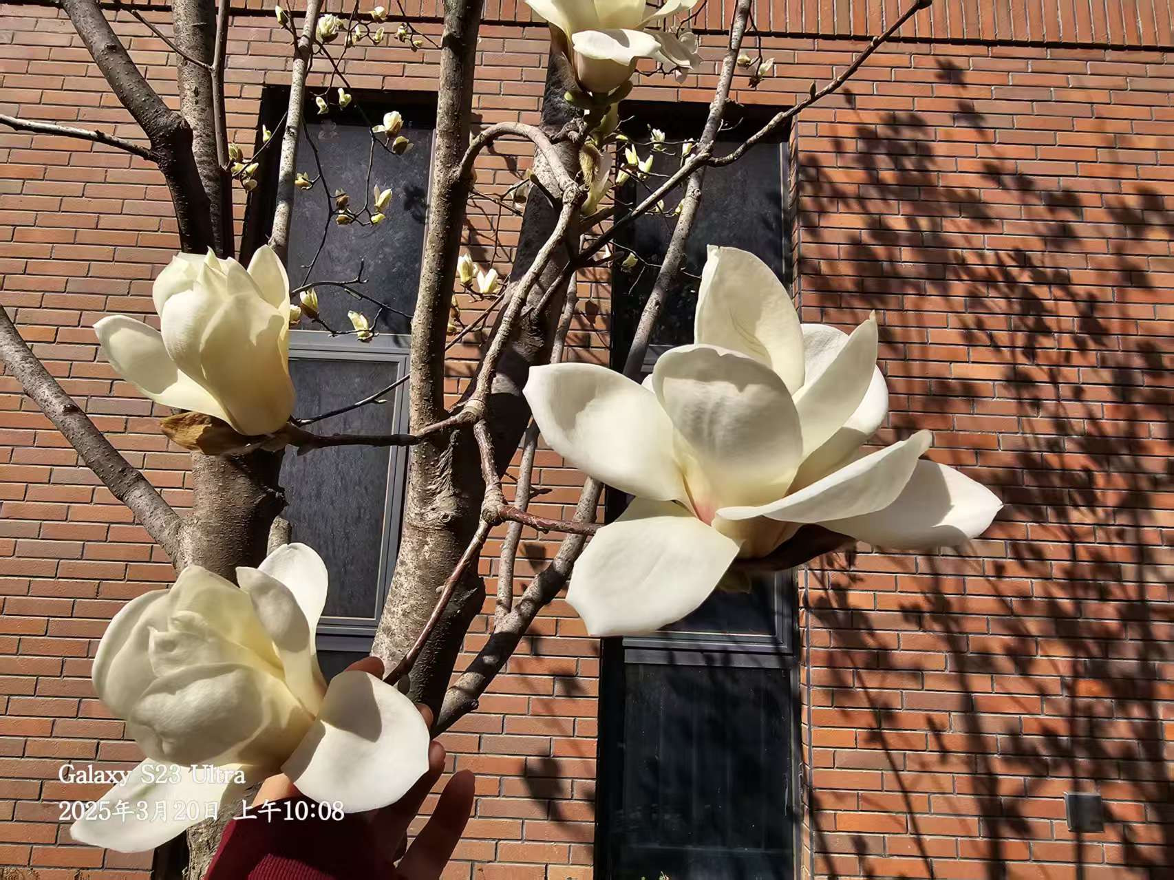 長(cháng)信科技產(chǎn)業(yè)園 長(cháng)信科技產(chǎn)業(yè)園